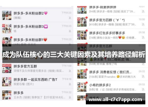 成为队伍核心的三大关键因素及其培养路径解析 成为队伍核心的三大关键因素及其培养路径解析