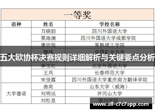 五大欧协杯决赛规则详细解析与关键要点分析