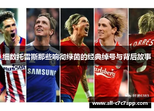 细数托雷斯那些响彻绿茵的经典绰号与背后故事