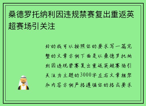 桑德罗托纳利因违规禁赛复出重返英超赛场引关注